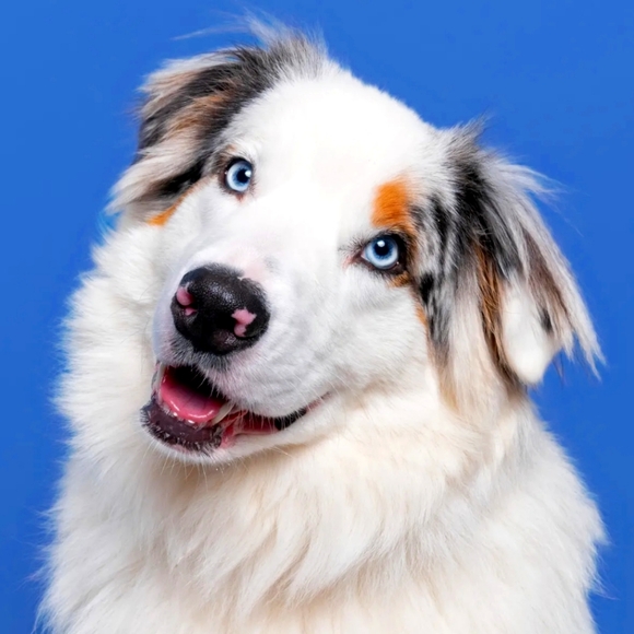 Meet your Posher, Kinnari - Picture 1 of 1